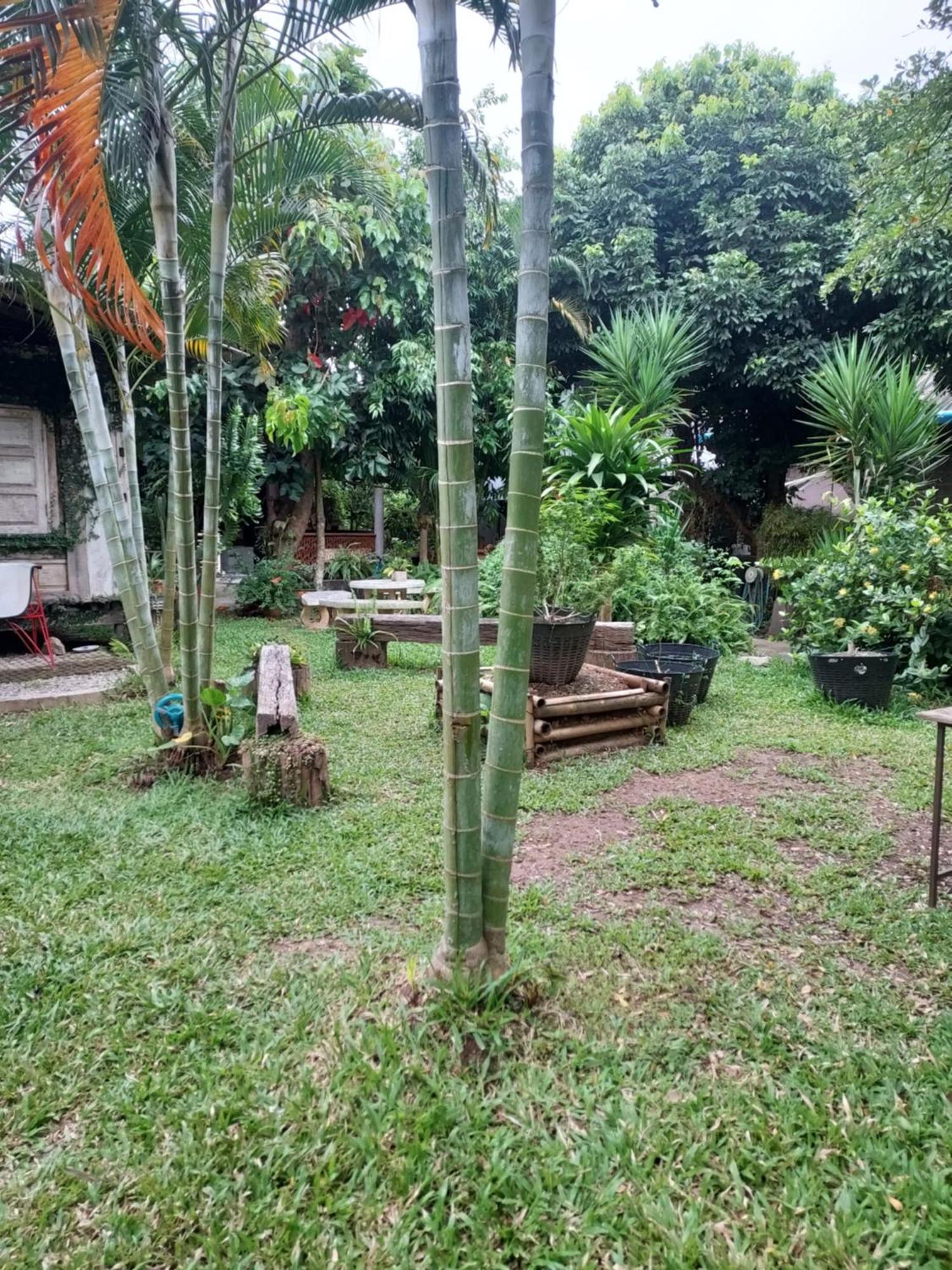Kwanlah Homestay Mae Chaem Eksteriør billede